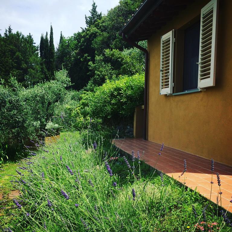 La Locanda Del Barbagianni Santa Luce Eksteriør bilde